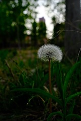 7C834A9E-4887-4D3F-BEF9-300D765BA79D/L0/001