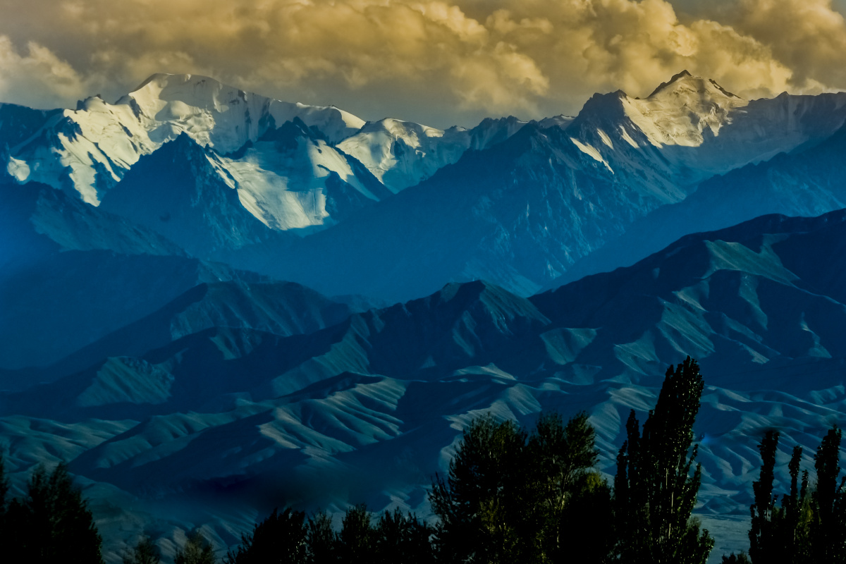 去新疆的时候在火车上拍的