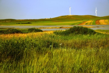 2007500