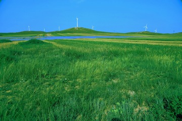 2007496