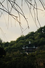 751F5451-D006-4F94-A7C3-ECA15D31DABA/L0/001