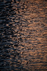 967CB28D-F515-4B55-9821-4B9F89AA92F2/L0/001