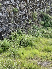 AFFCD555-3C8E-4076-8BDC-030B51D317B7/L0/001