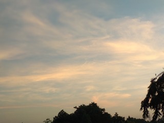 1459082