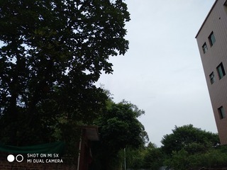 1331466