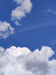 1000026675