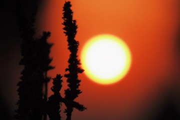 557E4D0B-EEA6-4AE2-93EA-F6BD73B84784/L0/001