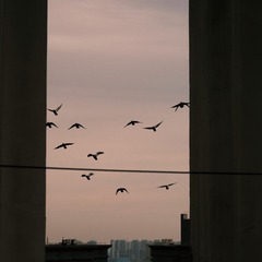58051D78-6A26-4888-B1AE-BEECB0EAE217/L0/001