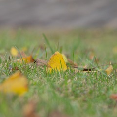 13EB984F-E868-4D77-A74B-C848F0A6B52F/L0/001