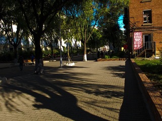 IMG_1039.jpg