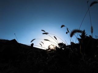 IMG_1082.jpg