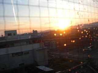 CIMG0113_副本.jpg