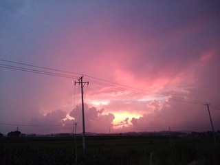 9BE24640-179D-466D-820E-BB2305C8BB1B/L0/001