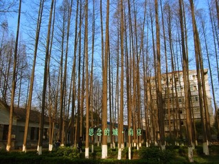 思念的城·南京13.jpg