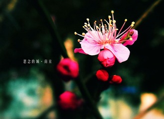 思念的城·南京17.jpg