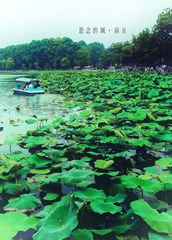 思念的城·南京3.jpg