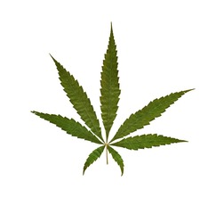 思念的城·南京21.jpg