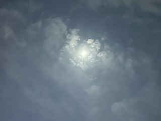 78B80536-9444-42AF-900C-818667CA2802/L0/001