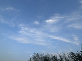 AC97BD67-AFB5-4FA4-8000-B8026828A7DE/L0/001