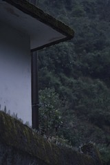 155948A8-2921-4C39-B573-5D4126E4D027/L0/001