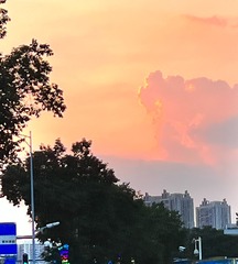 4C1B4194-8D5D-47D1-9FC5-8E6909368E75/L0/001