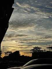 B983FC5E-2E79-4186-B009-6B4DA99411A8/L0/001