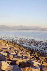 IMGP3134.jpg