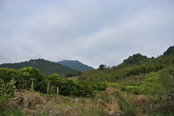 195.jpg