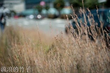 未命名-91.jpg