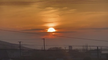 84733419-723D-477C-8F31-4F215D62676E/L0/001