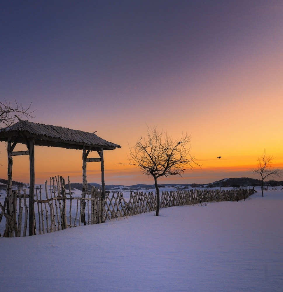 寒风,大雪纷飞雪景,寒风动图_大山谷图库