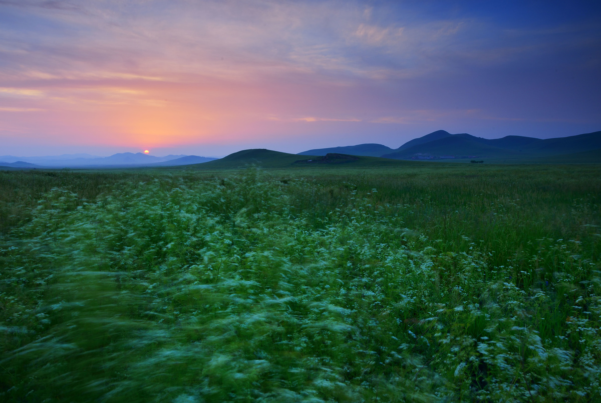 风吹草动送残阳
