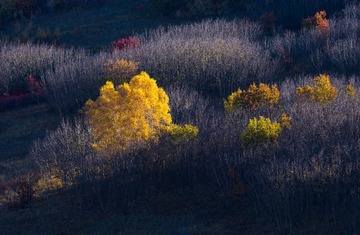 20151003-IMGP2705