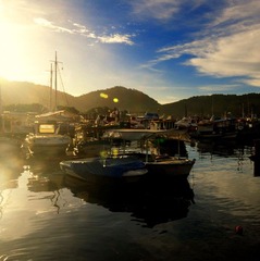 DOS_7861_20648.JPG