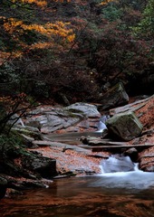 DOS_0379.jpg