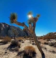 DSC_6269.jpg