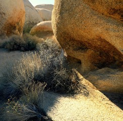 DSC_6282.jpg