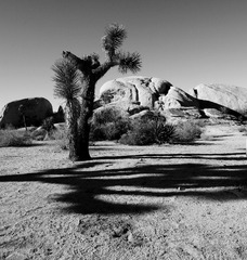 DSC_6325.jpg