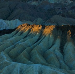 DOS_0629.jpg
