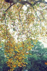 C3BFAE99-22D5-40D8-8747-752AB59F6CA5/L0/001