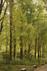 A7D9A2BC-8D62-4F36-880E-6CEC4EC3329E/L0/001