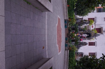 DSC00320.JPG