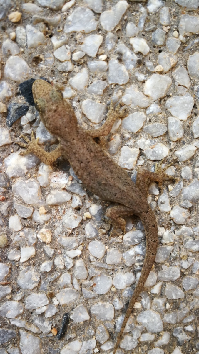 万物皆空唯心所致