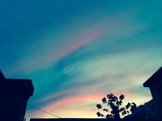 CA15E194-EC25-402D-9DA6-3FF211223760/L0/001