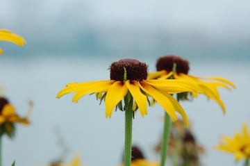 水上2010