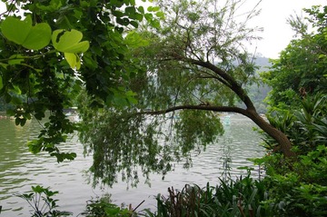 IMGP0104.JPG