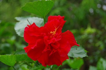 IMGP0103.JPG