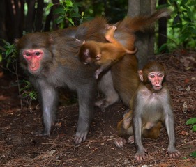 DSC_6657.jpg