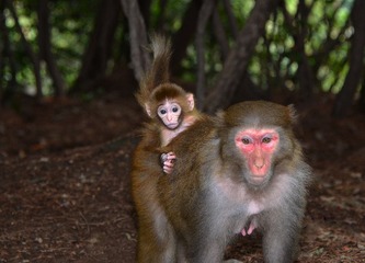 DSC_6661.jpg