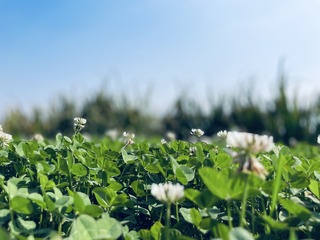 2F54790B-CA44-40CC-906D-3CF2B192FC92/L0/001